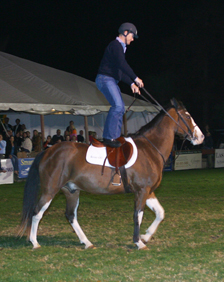 McLain  Ward at the 2005 Fete Cheval