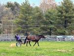 151-Farmpic22024.jpg