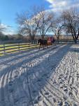 151-Gabledrivingoutdoorarena.jpg