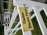 548-ElectricalFencing.jpg