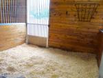 1283-Horsestall.jpg