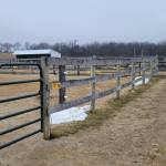 1395-electricfence.jpg