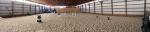 1774-Arena.jpg