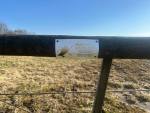 2001-ElectricFence.jpg