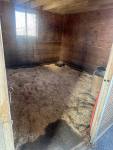 2001-Insideofstall.jpg