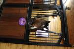 2227-IMG_3944PCGrace.JPG