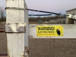 2303-IMG_4981.jpeg