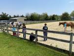 2329-Classintheoutdoorarena.jpg