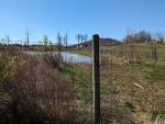 2432-BARBEDWIREWOODSPOINT2.jpg