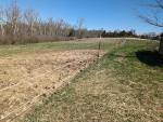 2432-FENCINGWOODSPOINT.jpg