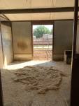 2592-Insideofstall.jpg