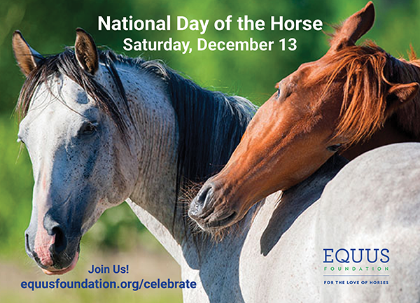National Day of the Horse