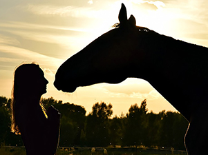EQUUS Foundation Horse Whisperer 