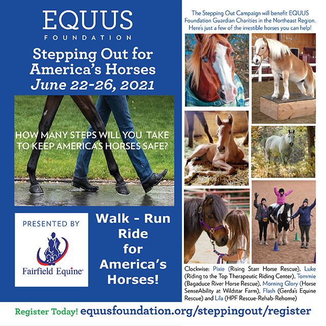 Stepping Out for America's Horses
