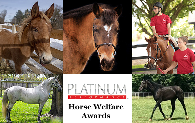 2021 Platinum Performance Horse Welfare Awards