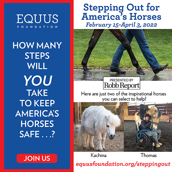 EQUUS Foundation Foundation Stepping Out Campaign