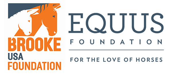 EQUUS Foundation