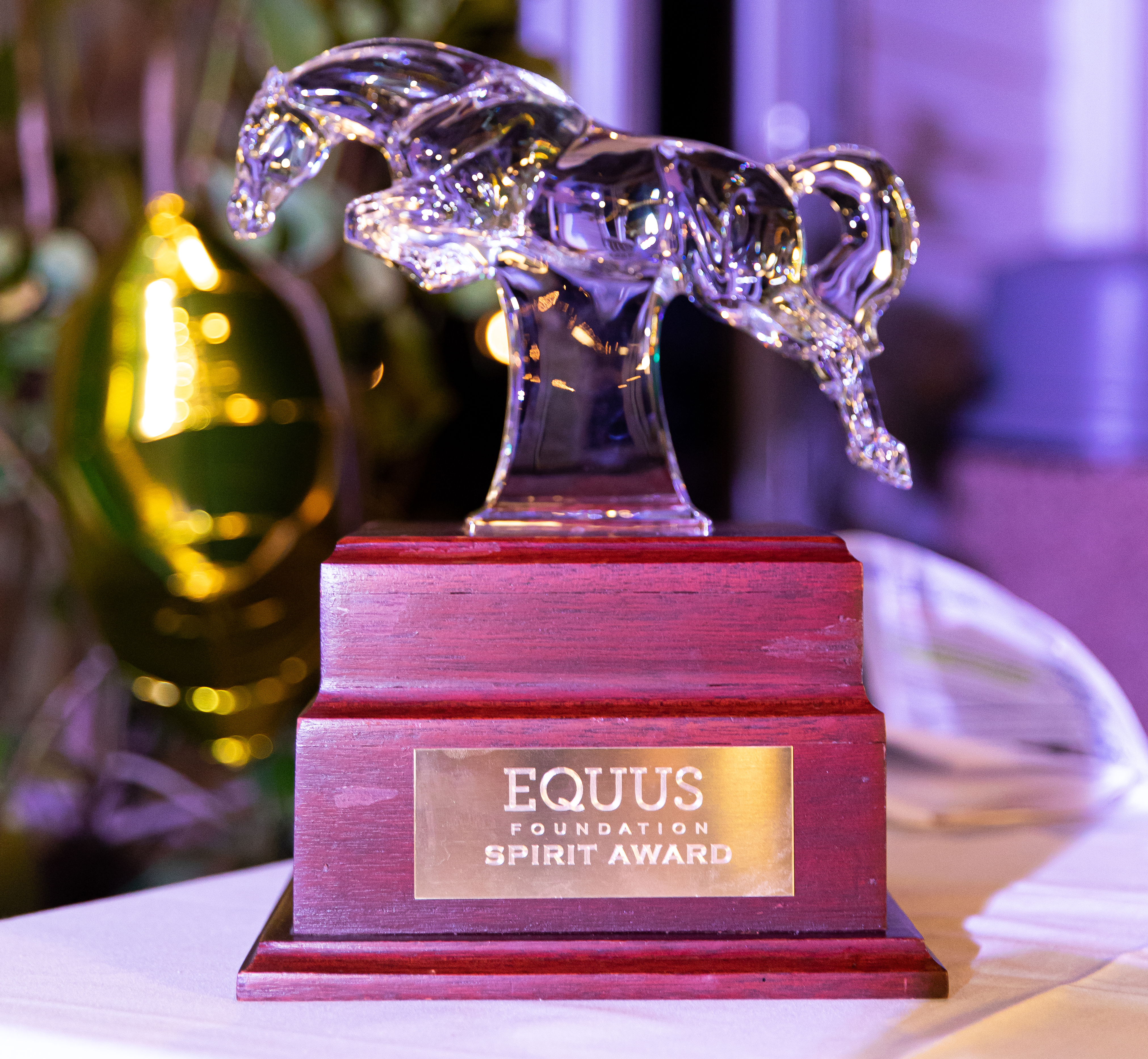 EQUUS Foundation Spirit Award